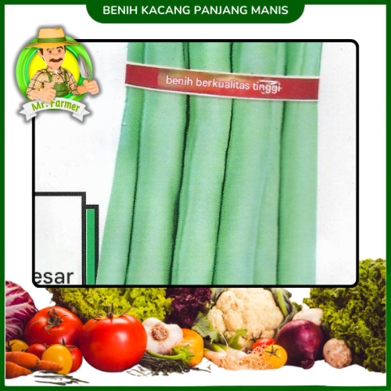 Benih Kacang panjang Manis