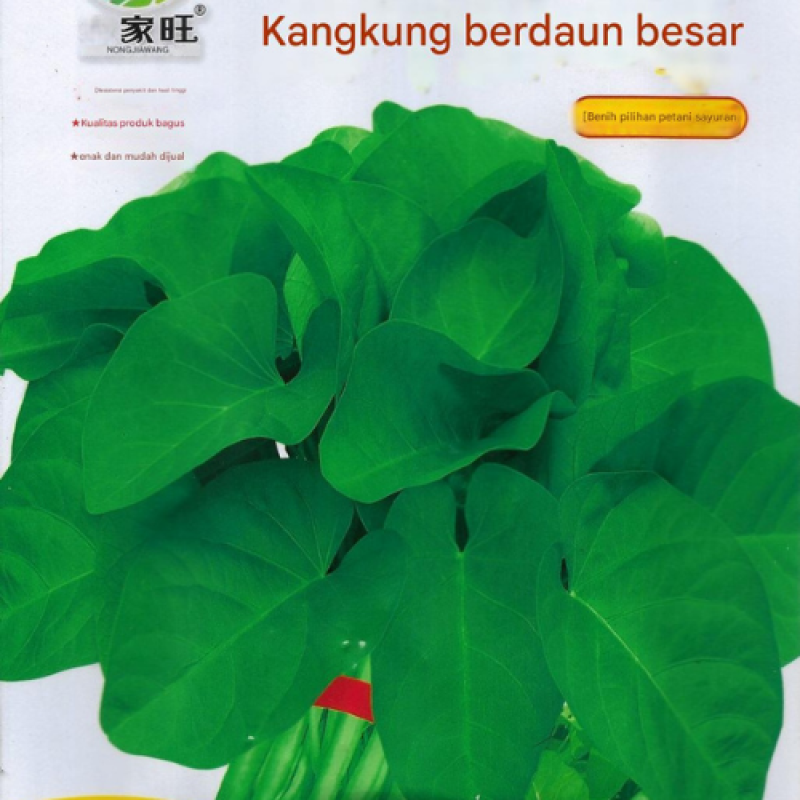 Benih Kangkung Air Benih Kangkung Air
