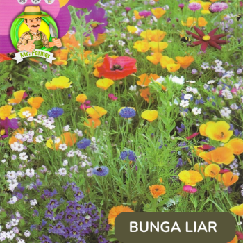 Benih Bunga Liar Benih Bunga Liar