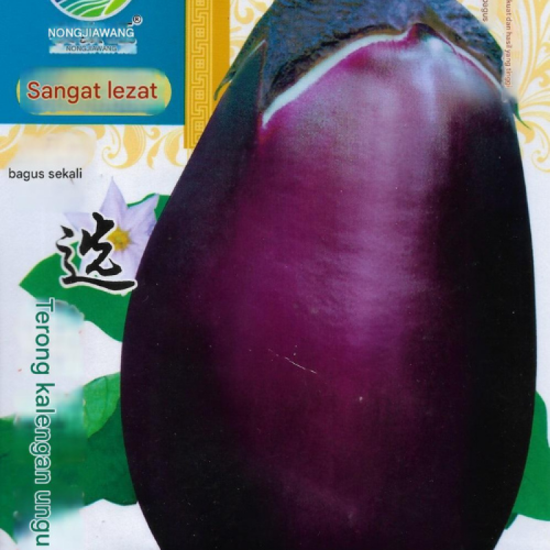 Benih Terong Ungu lonjong Benih Terong Ungu lonjong