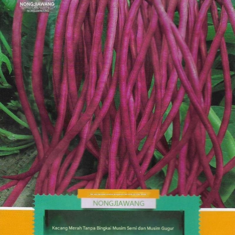 Benih Kacang Panjang merah Benih Kacang Panjang merah