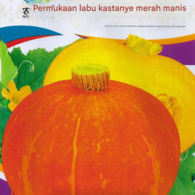 Buah Labu Kuning