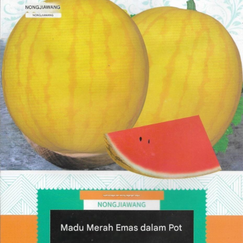 Benih Semangka Kuning Benih Semangka Kuning