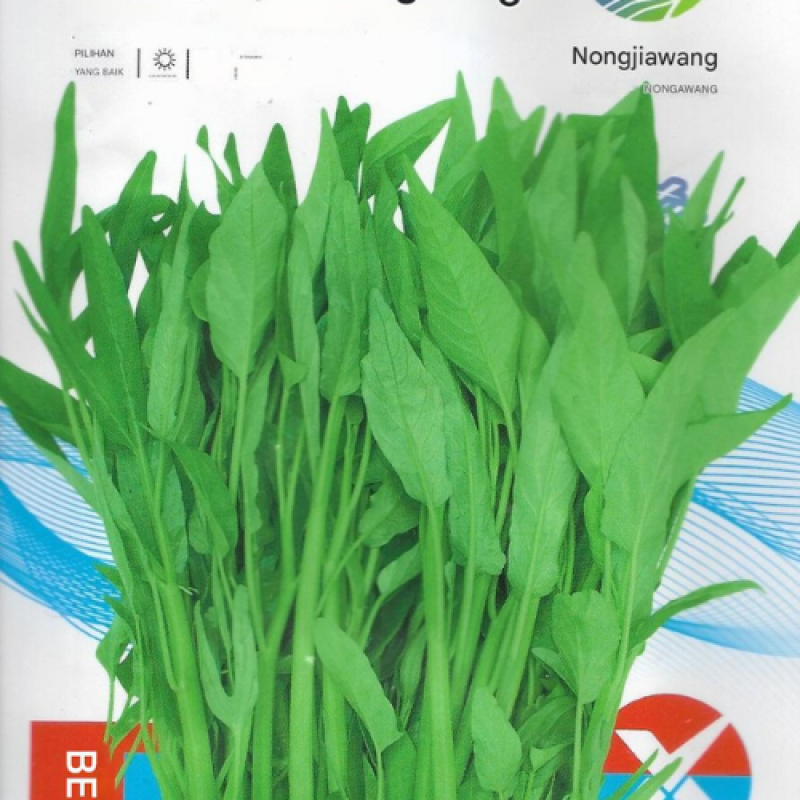 Benih Kangkung Bali Benih Kangkung Bali