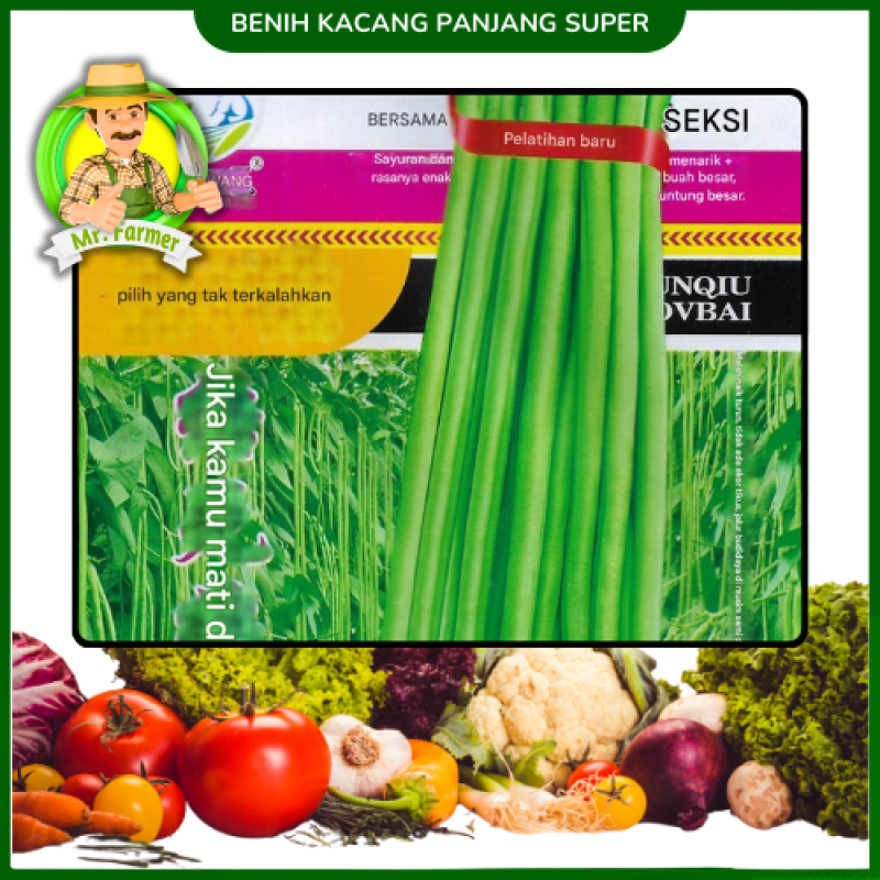 Benih Kacang panjang super 