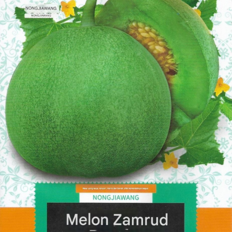 Benih Melon Hijau Benih Melon Hijau