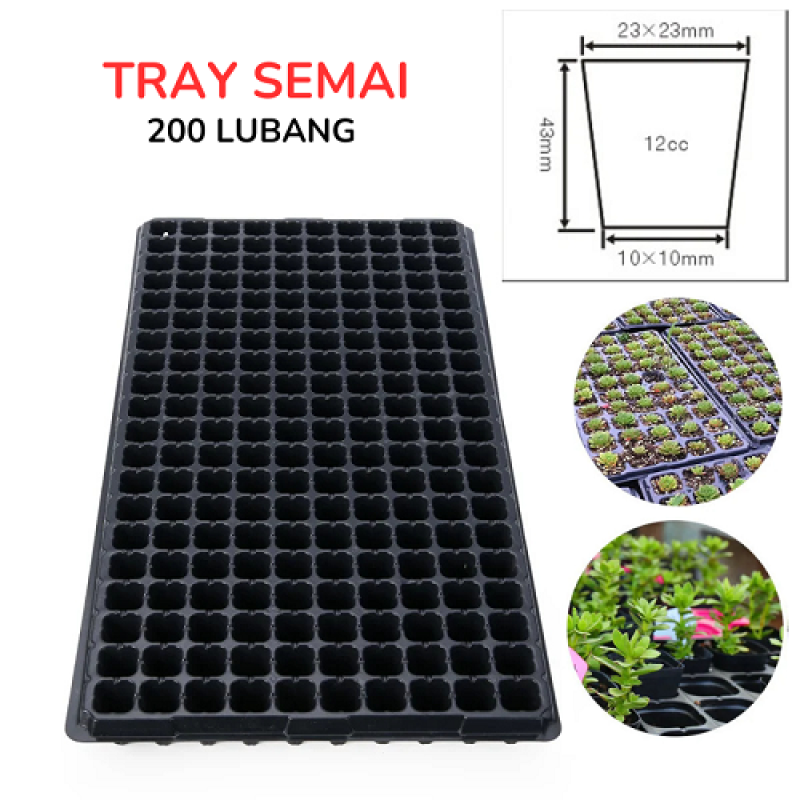 Tray Semai 200 Lubang Sayuran Pot Benih Bibit Tanaman Hidroponik Tray Semai 200 Lubang Sayuran Pot Benih Bibit Tanaman Hidroponik