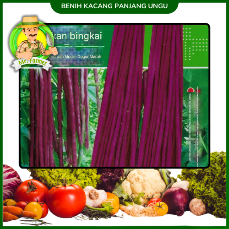 Benih Kacang Panjang Ungu