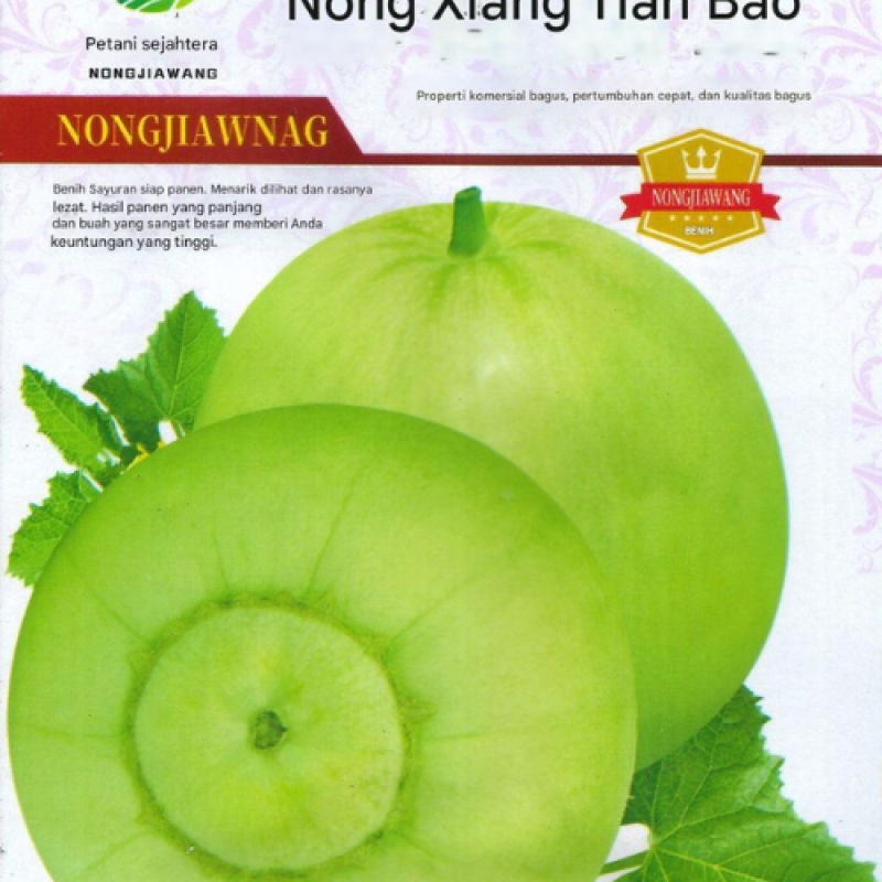 Benih Melon Jepang Benih Melon Jepang