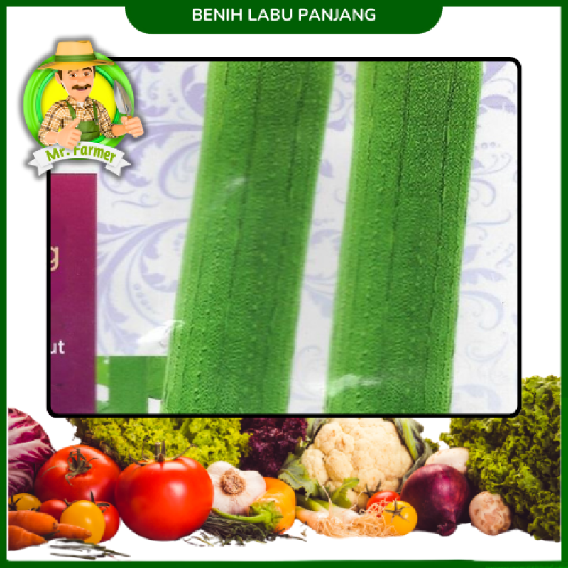 Benih Labu Panjang Hijau