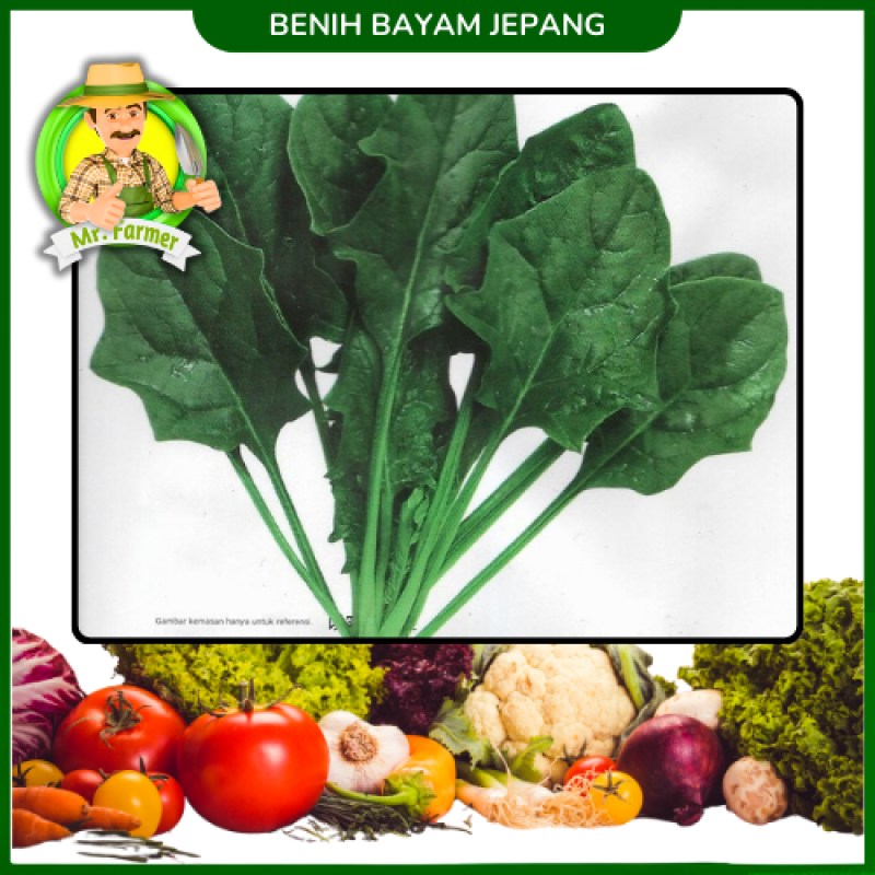 Benih Bayam Jepang