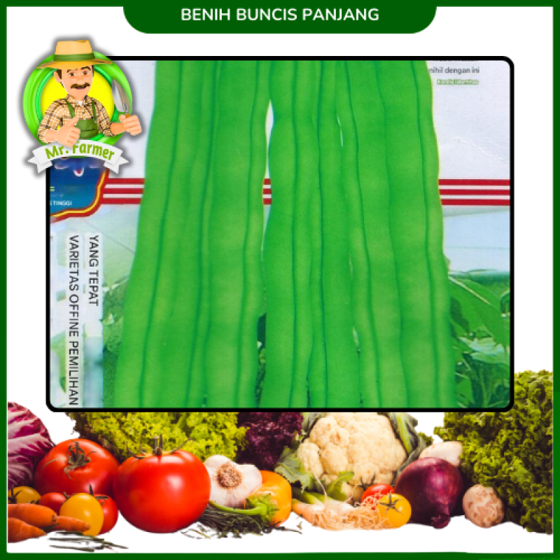 Benih Kacang Buncis Polong panjang