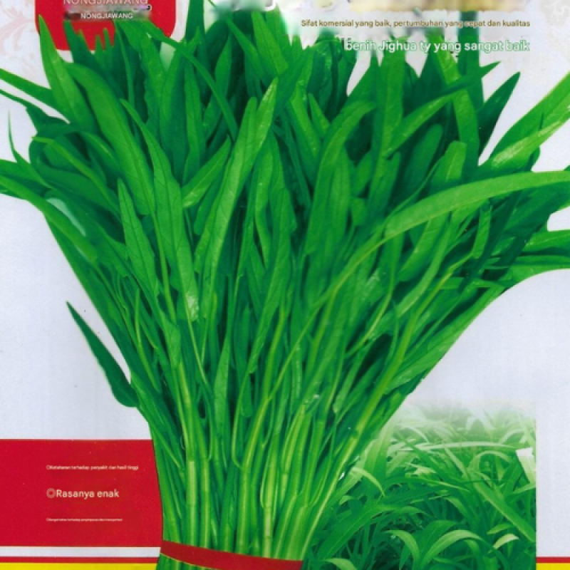 Benih Kangkung Darat Benih Kangkung Darat
