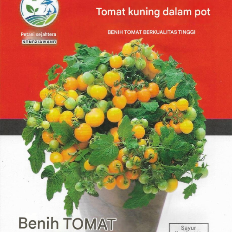 Benih Tomat Mini Kuning Benih Tomat Mini Kuning
