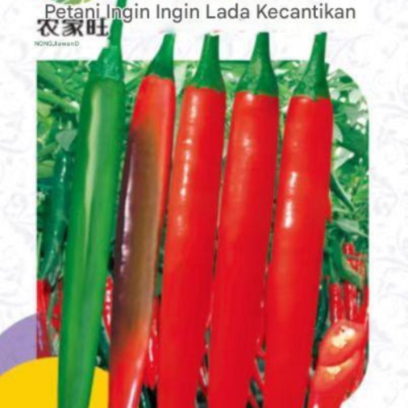 Benih Cabai Merah Besar Benih Cabai Merah Besar