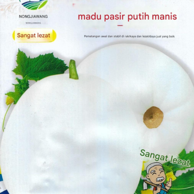 Benih Melon Putih
