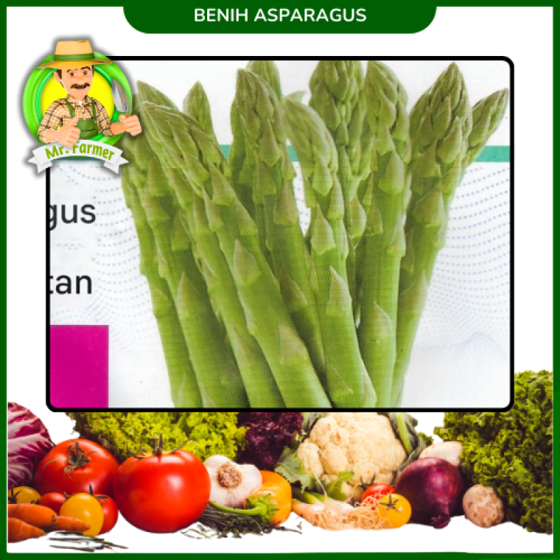 Benih Asparagus
