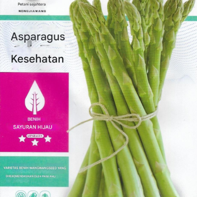 Benih Asparagus Benih Asparagus