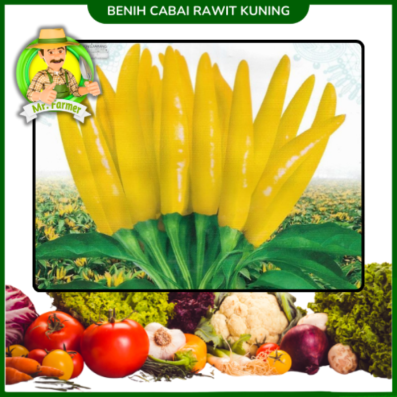 Benih Cabai Rawit Kuning