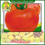Benih Tomat Merah Jumbo
