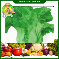 Benih Sawi sendok