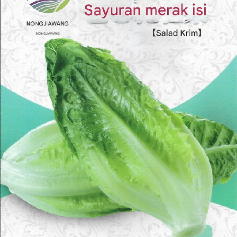 Benih Selada Baby Romaine Benih Selada Baby Romaine