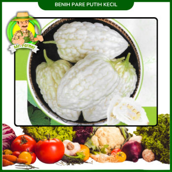 Benih Pare Putih Kecil Benih Pare Putih Kecil