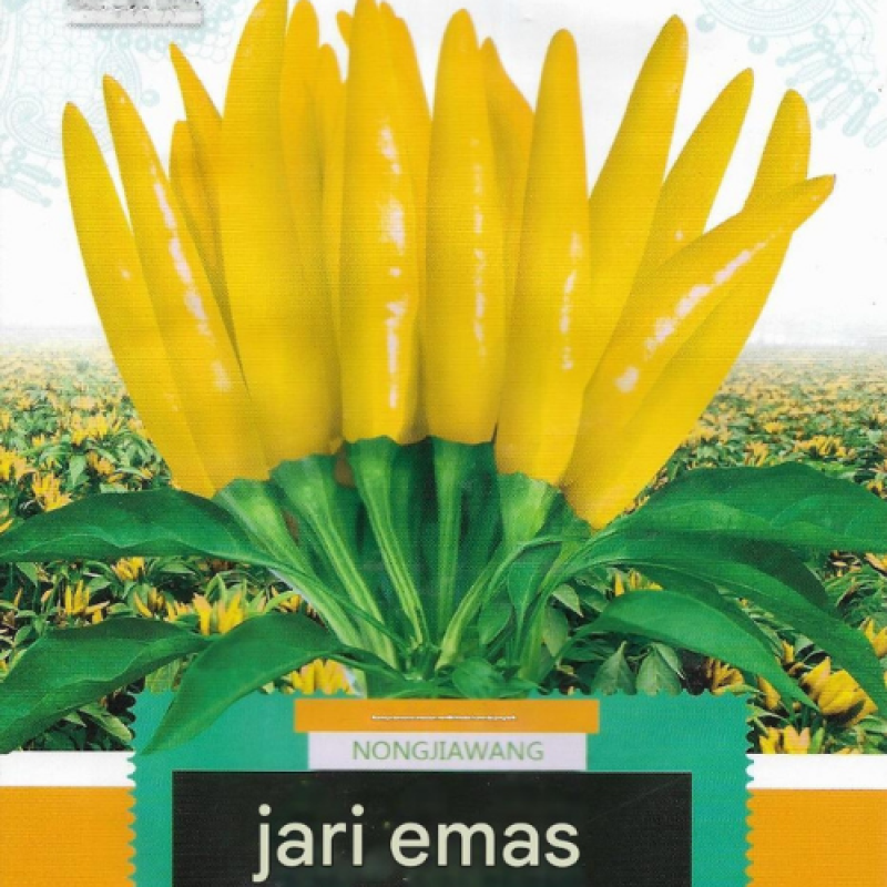 Benih Cabai Rawit Kuning Benih Cabai Rawit Kuning