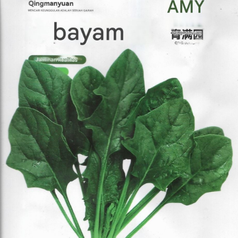 Benih Bayam Jepang Benih Bayam Jepang