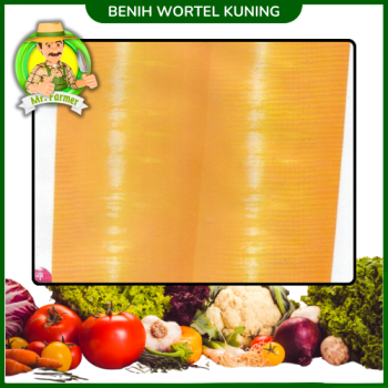 Benih Wortel Kuning Benih Wortel Kuning
