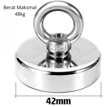 Magnet Neodinium D42 Magnet Neodinium D42