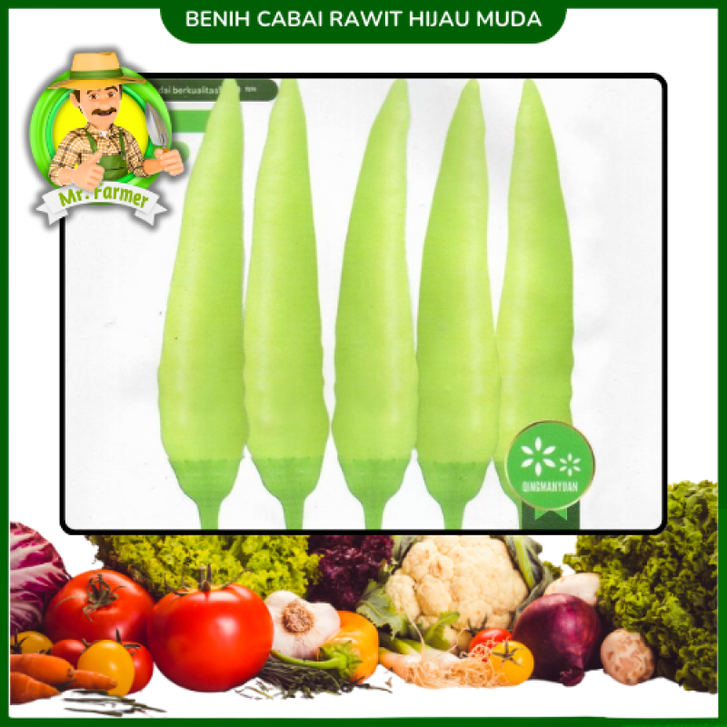 Benih Cabai Rawit Hijau Muda