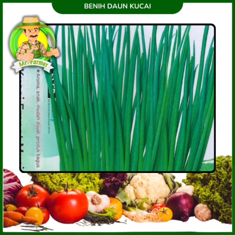Benih Daun Kucai