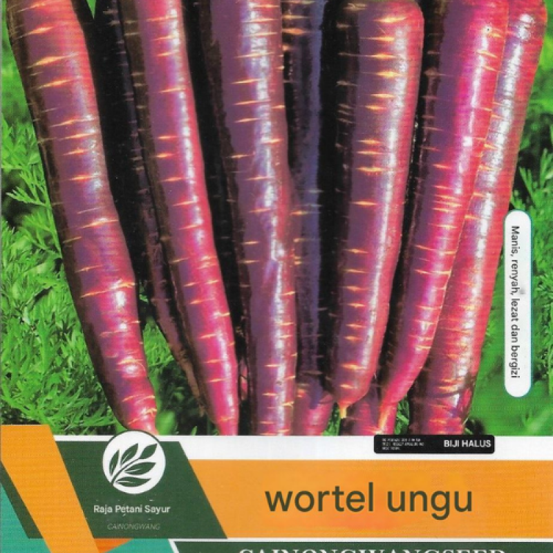  Benih Wortel Ungu