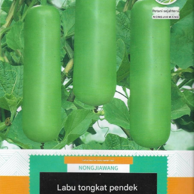 Benih Labu Air Pendek Benih Labu Air Pendek