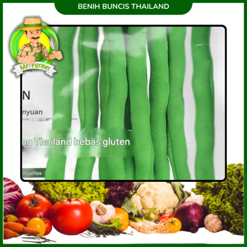 Benih Kacang Buncis Thailand