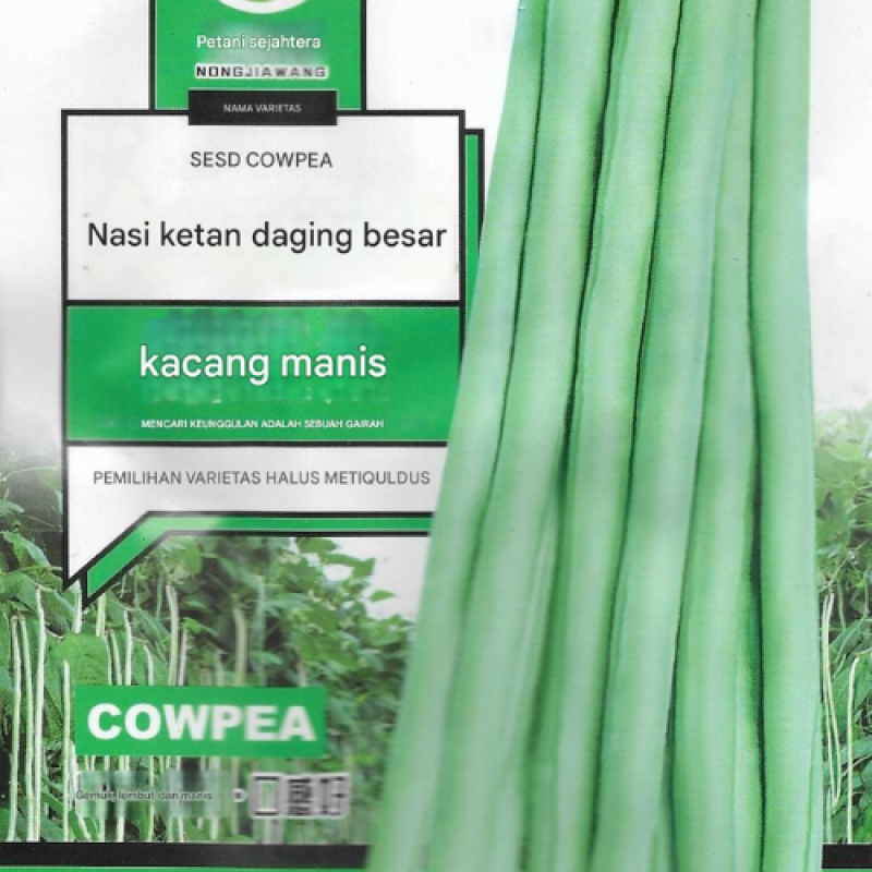 Benih Kacang panjang Manis