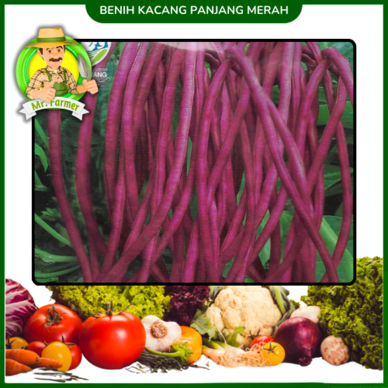 Benih Kacang Panjang merah