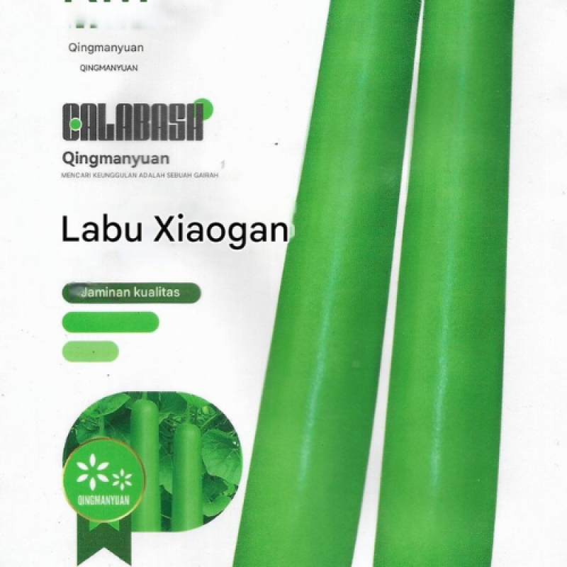 Benih Labu Air Panjang Benih Labu Air Panjang