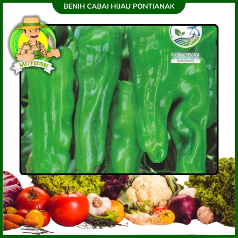 Benih Cabai hijau Pontianak Benih Cabai hijau Pontianak