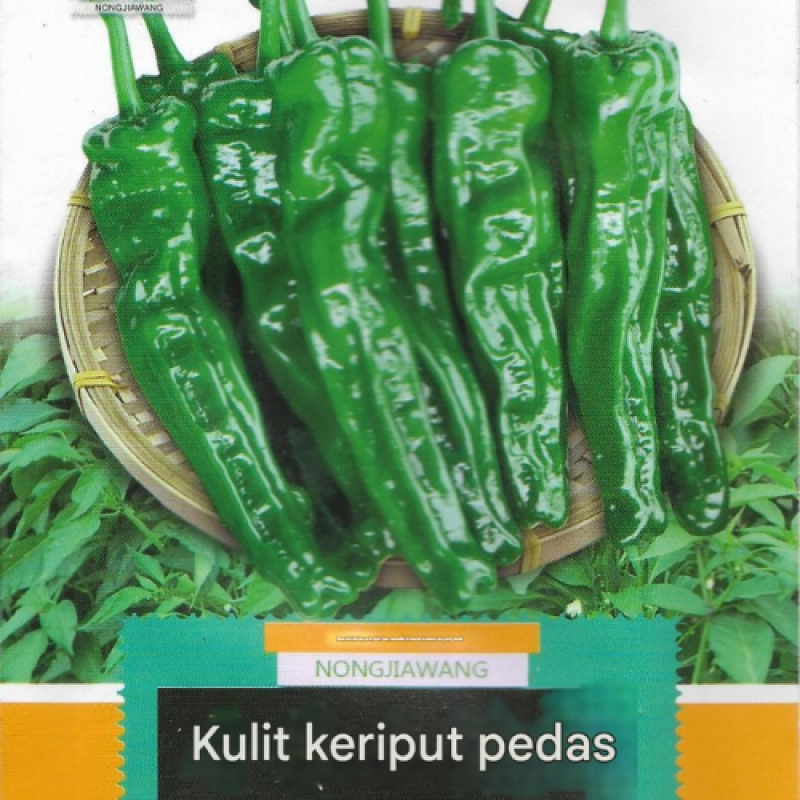 Benih Cabai Paprika 4 Benih Cabai Paprika 4