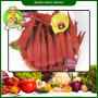 Benih Okra Merah