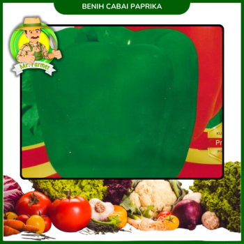 Benih Cabai Paprika Benih Cabai Paprika