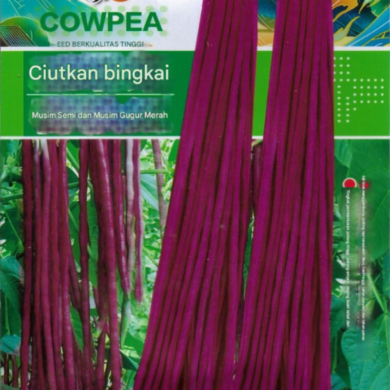 Benih Kacang Panjang Ungu Benih Kacang Panjang Ungu