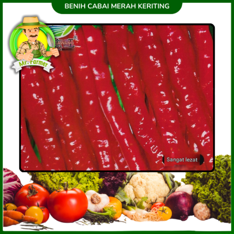 Benih Cabai Merah Keriting