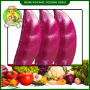 Benih Kacang Polong Ungu