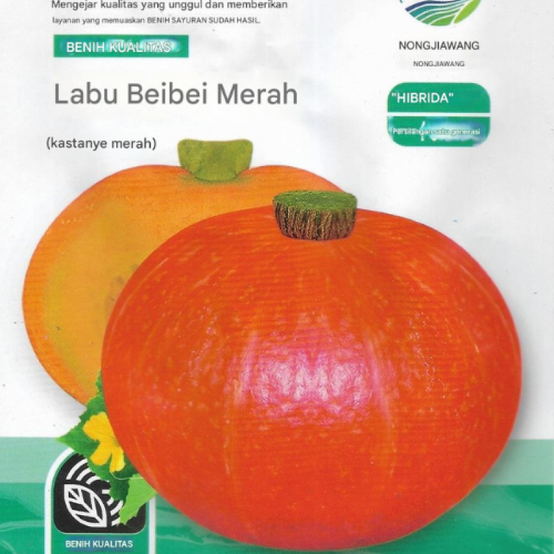 Benih Labu Merah Benih Labu Merah