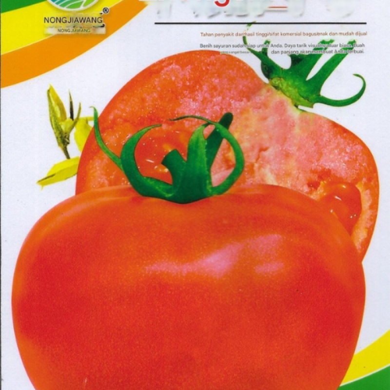 Benih Tomat Merah Jumbo Benih Tomat Merah Jumbo