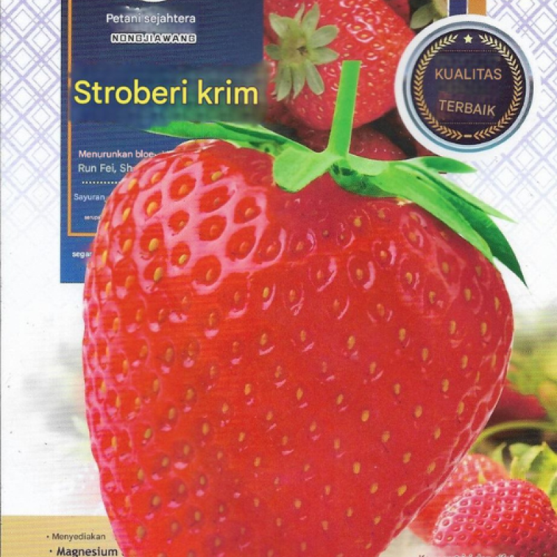 Benih Strobery Merah Benih Strobery Merah