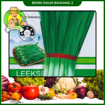 Benih Daun Bawang 2 Benih Daun Bawang 2